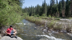(2017-07-01-025) USA - Yosemite - Wawona